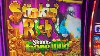 Stinkin Rich Skunks Gone Wild #casino #bet #gamble #slotmachinejackpot #casinogames