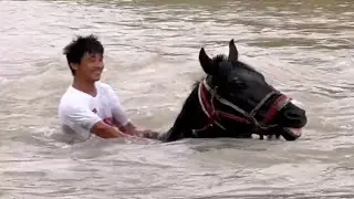 RIVER BATHING WITH A HORSE  @FALCON_UZ