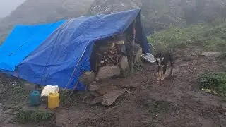 This is A Himalayan Nepali shepherd  Village Life Heavy Rainy  Naturally Village Documentary Video