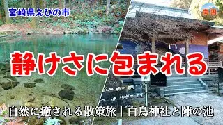陣の池の変わり果てた風景に驚愕　白鳥神社　陣の池【α7Ⅴ】宮崎の風景　宮崎県えびの市　観光