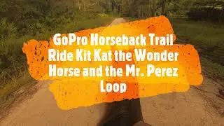 GoPro Horseback Trail Ride Kit Kat the Wonder Horse and The Mr  Perez Loop
