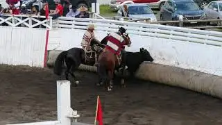 SERIE POTROS RODEO DE PURRANQUE 6 Y 7 DE NOVIEMBRE DE 2021
