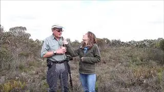 The wild orchid man meets the Queen of Sheba at Tozer's campsite - Australian Native Orchids
