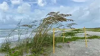 Robb's Monday Morning Beach Walk at Bowman's Beach on Sanibel Island