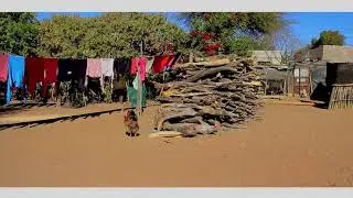 rearing tswana chickens at home(Botswana)