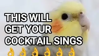 THIS WILL GET YOUR COCKTAIL SINGS 👌👌👌👌👌👌👌