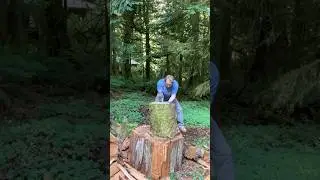🛠️ Watch This Log Split in Satisfying Slow Motion #firewood