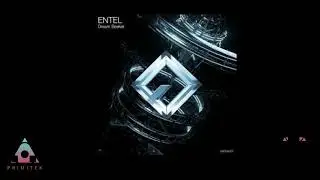entel   -  dream seeker
