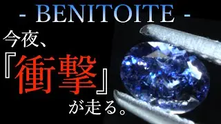 ‼️ベニトアイト特集やります‼️
