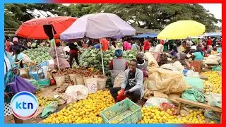Global Jobs crisis: Experts warn youth job crisis in Africa will persist
