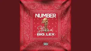 Number 1 Stunna