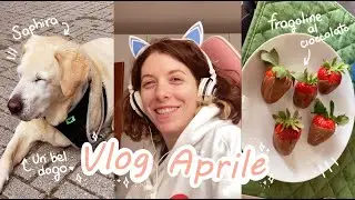♡ 06. Vlog Aprile: byebye pretty sketchbook, un po' di cibo e Saphira ♡