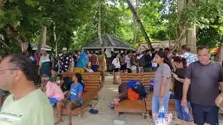 Elephant Beach scam Havelock Island || Very costly not totally worthy, Beach full of fraudsters 👎👎
