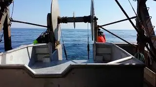 Silver Hake Fishing Nova Scotia Emerald Basin - Disconnect Doors
