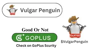 Токен Vulgar Penguin ($VulgarPenguin) хороший или нет?
