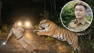 Police man🚓🚨 killed in Tiger 🐅 🐯 attack Lower Dibang Valley , Arunachal Pradesh Tiger🐅 attack in man