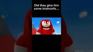 -999 IQ Knuckles: #sonicboom #knuckles #sonic #memes