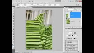 Editing 1-0-1 in (Adobe&reg;) - Creative Suite, Photoshop, Elements, Lightroom, (Microsoft) - Paintshop,