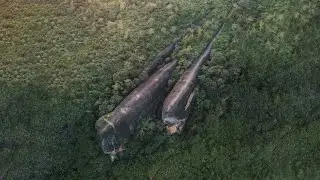 12 Most Incredible Archaeological Discoveries That Really Exist