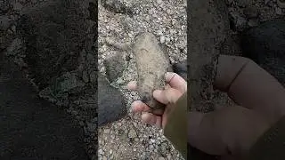 Scraper Tool Artifact Found, a ancient blade all but forgotten.