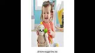 Fisher-Price Baby Toy Review: Can This Stroller Sloth Really Keep Your Newborn Engaged?