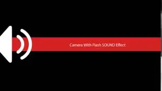 Camera With Flash SOUND Effect