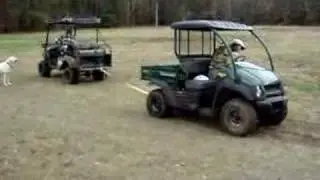 Bad Boy Buggy vs. Kawasaki Mule