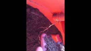 Steed Digger and Collected Soil in Vacuum Canister