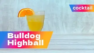 Bulldog Highball Cocktail Recipe | Gin, Orange Juice & Ginger Ale Long Drink