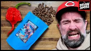 REAPERSAURUS 7Pot Primo Chocolate Puffs