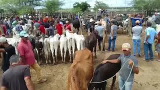 10 de julho de 2024