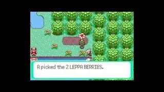 How to get Leppa Berry in Pokemon Emerald