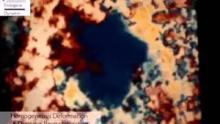 Homogeneous deformation and dynamic recrystallization in camphor (Urai and Humphreys, 2000)