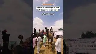 Todpura animal fair 2025//#dance #animallovers#animalfair #hourse#viralvideo#vlog @Shyamvlogers