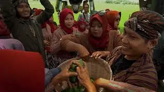 COMPANY PROFILE DESA WISATA MBULAK WILKEL