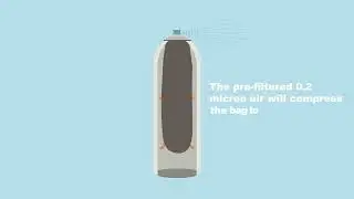 Aerosol Spray Bag On Valve Dispensing System