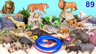Wild Zoo Animal Toys Baby Mom Learn Animal Names and Educational Toys For Kids