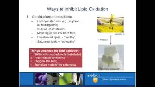 What Makes a Food-Grade Oil Unstable or Rancid?