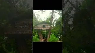 Survival Shelter Building In wild 🌲😯 #wildlife #short