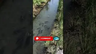 Apa yang kamu lakukan saat menemukan spot mancing baru