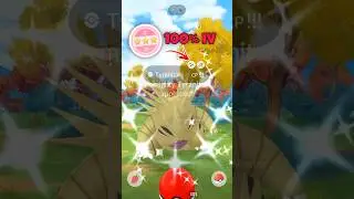 Shundo Mighty Tyranitar ✨💯 in Pokemon GO.