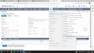 How to manage multiple chart of accounts on netsuite using accounting contexts.