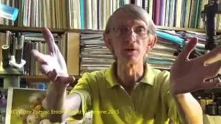 Миллион Долларов За Идею: Ужасная Био-Муха Hydrotaea aenescence  (Diptera, Muscidae)