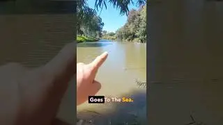 Yarqon   Ayalon rivers confluence
