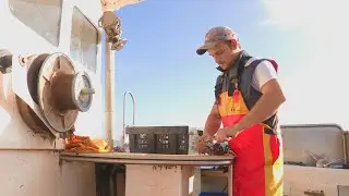Romain Davodet, pêcheur de homard à Carteret
