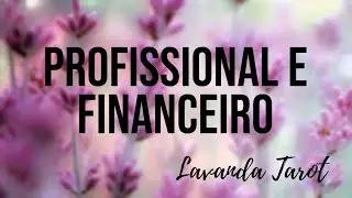 💜🪻15/ 30 dias - Profissional e financeiro!💜🪻