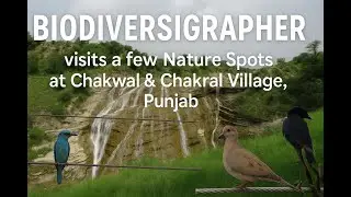 BiodiversiGrapher in Chakwal & Chakral | Exploring Punjab&rsquo;s Birds, Insects & Flora