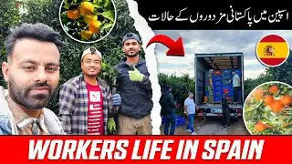 Orange Work in Spain Valencia || Spain Valencia Malton Ka Kaam || Agriculture Job Spain Valencia 1.M