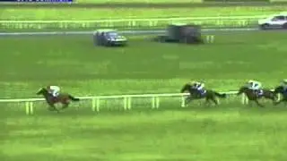 Darley Irish Oaks 2009