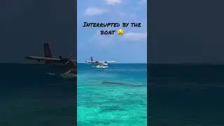 A nice landing clip interrupted by boat 😫 #maldives #seaplane #twinotter #flightlanding
